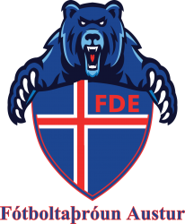 FDE badge